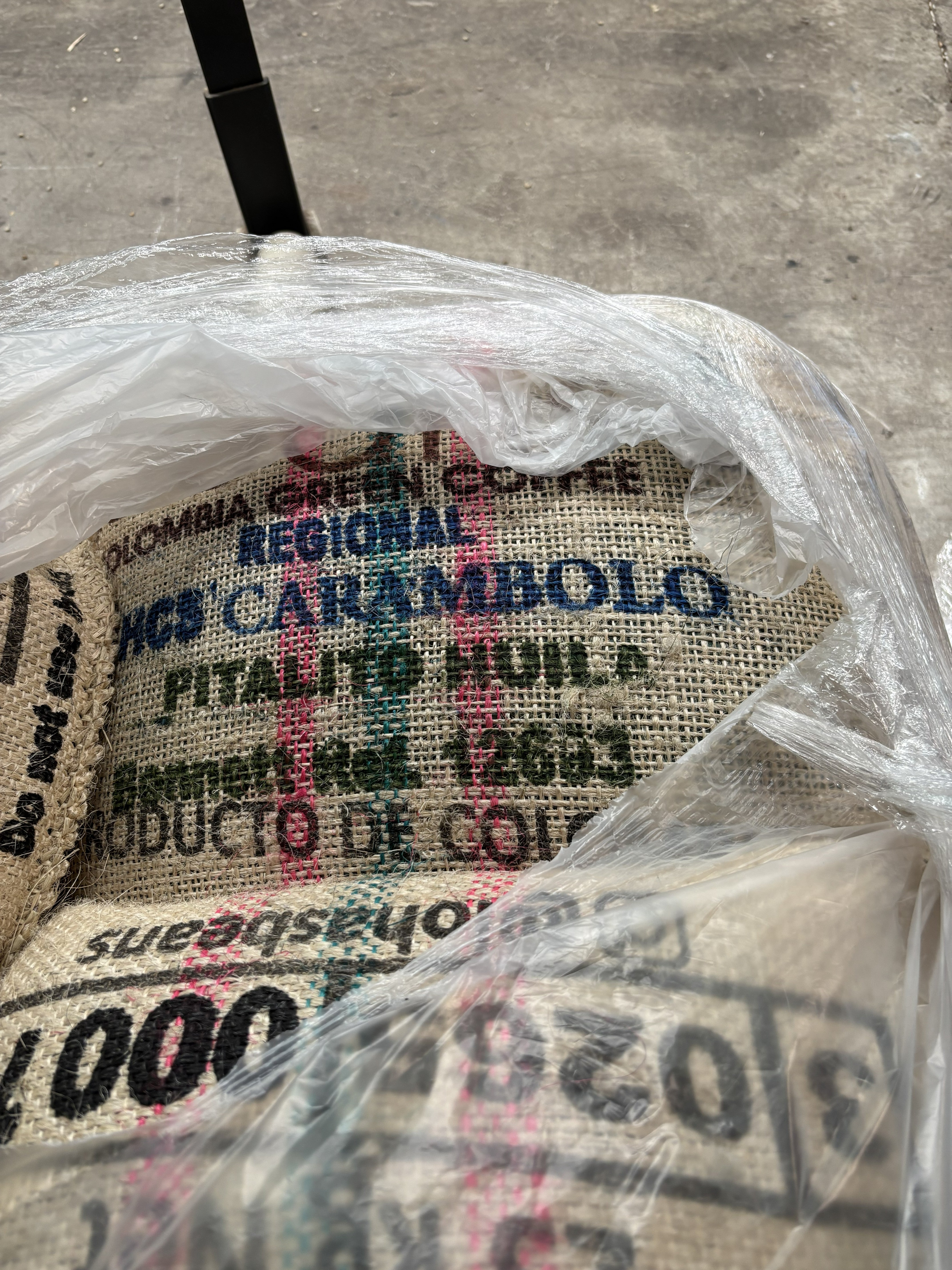 Photo of Carambolo