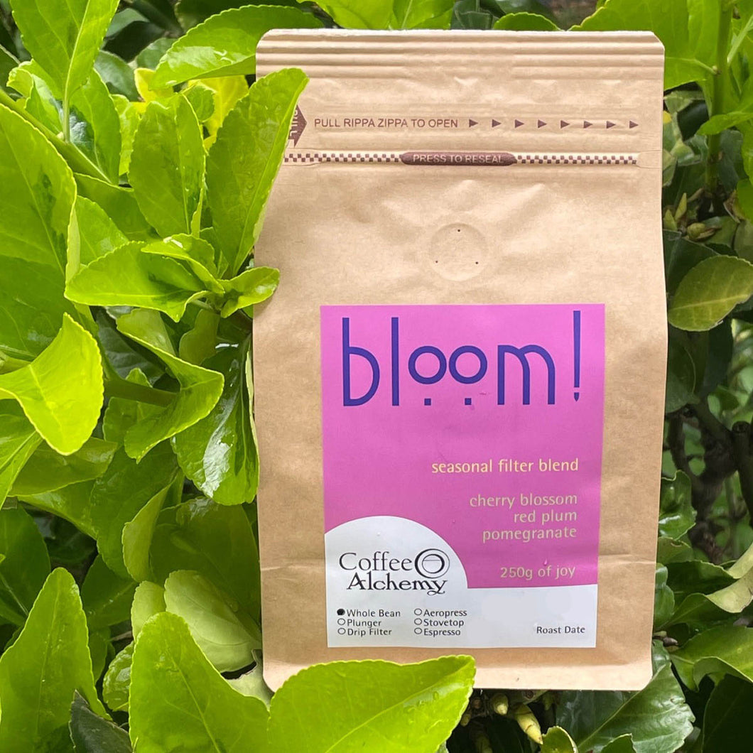 Bloom! Seasonal Filter Blend