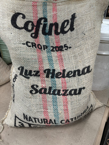 Colombia - Luz Helena Salazar (Natural)