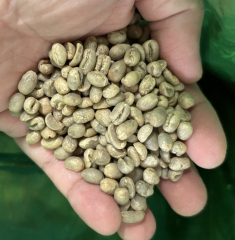 Rwanda -  Nkara Peaberry (Washed)